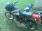 Honda XLR 
