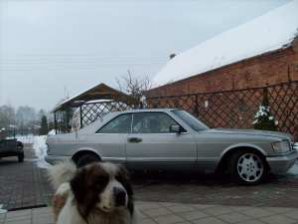 Mercedes 126 