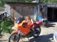 Suzuki RG 