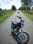 Suzuki GN 